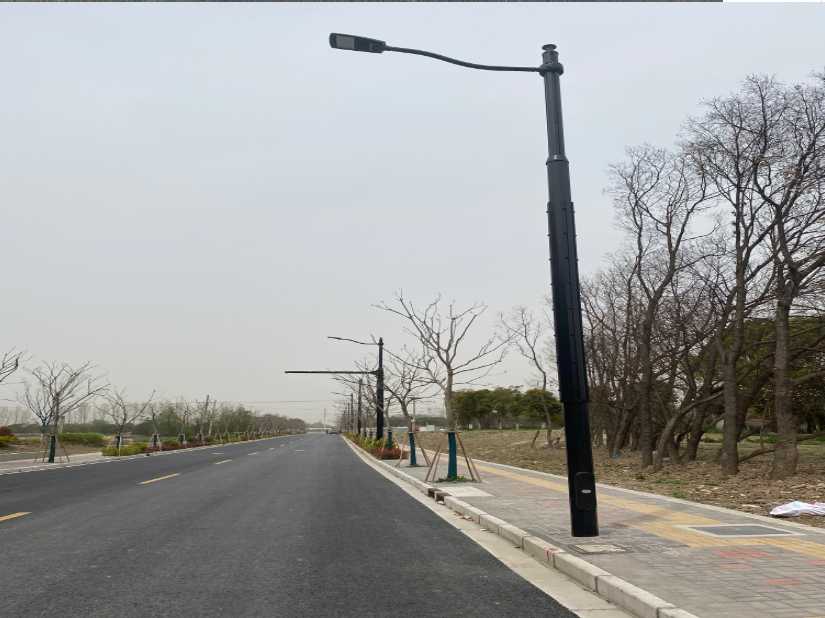 洪山区上海综合杆 太阳能路灯工程